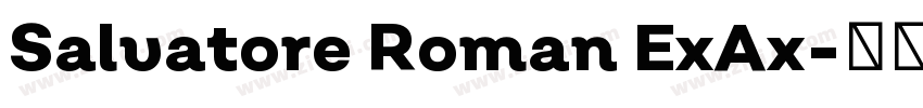 Salvatore Roman ExAx字体转换